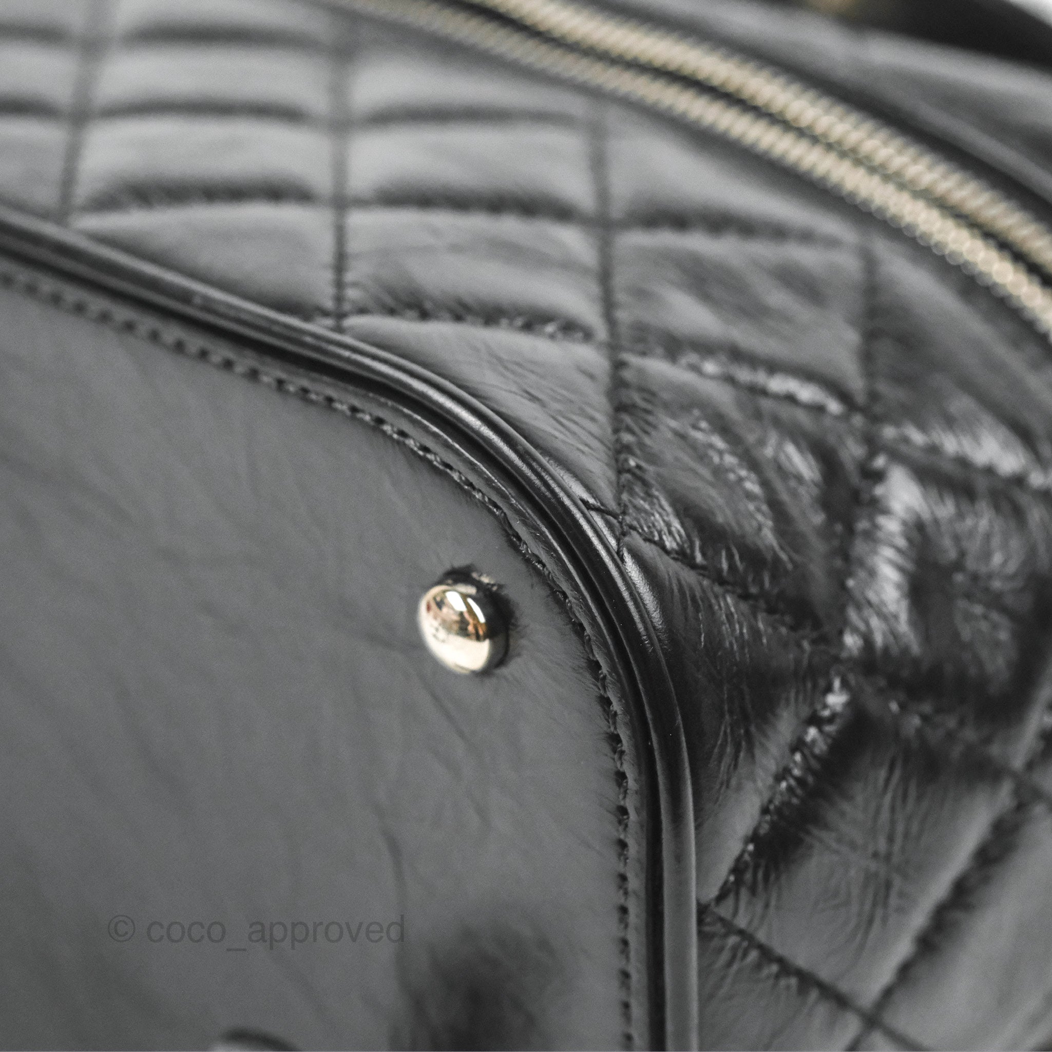Chanel Aquarium PVC Backpack in Black Crumpled Calfskin with Silver Hardware - Luxury Designer Handbag for Women, Perfect for Travel, Shopping & Everyday Use