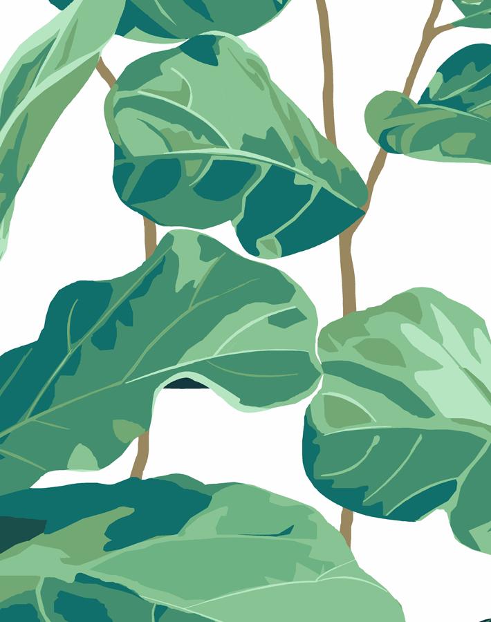 Nathan Turner Fiddle Leaf Fig Wallpaper - White - Perfect for Living Room, Bedroom & Nursery Decor