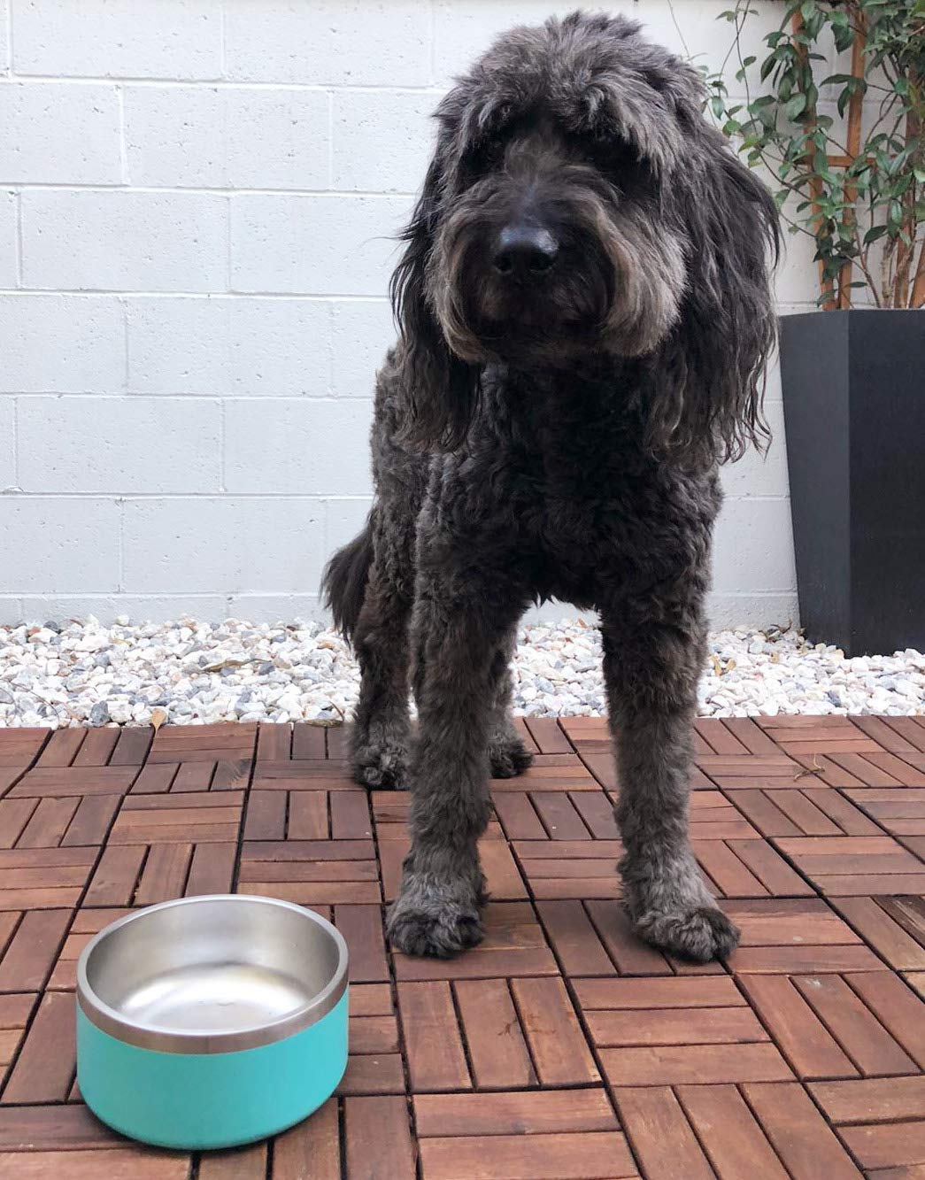 Stainless Steel Non-Slip Dog Bowl - Double Wall Insulated Pet Food & Water Dish (64oz) - Keeps Water Cold for Hours - Perfect for Indoor/Outdoor Use - Great for Large Dogs - Glacier White