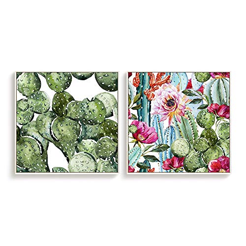 Cactus-s03