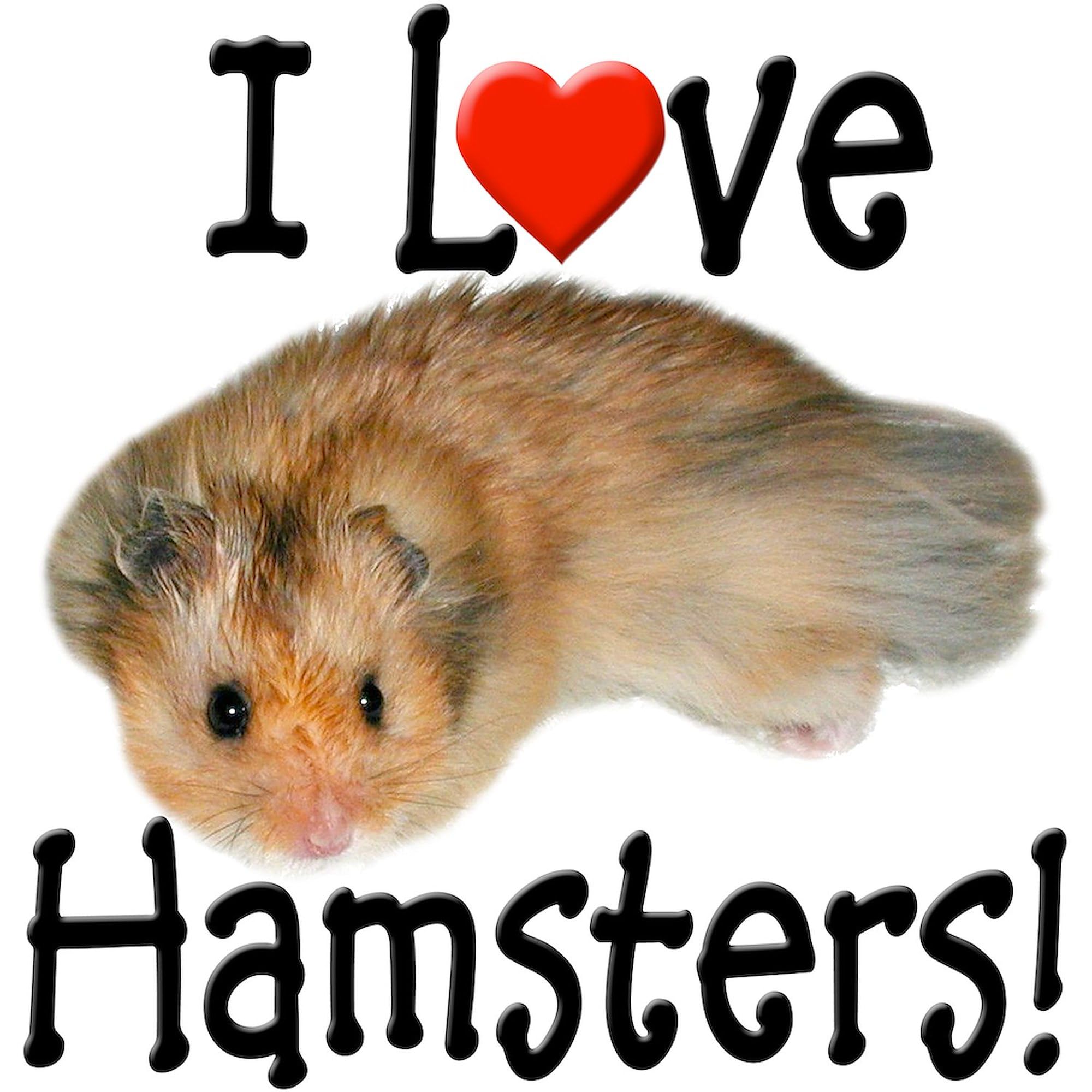 I Love Hamsters Tote Bag - Natural Canvas Reusable Shopping Bag for Groceries, Beach & Daily Use | Cute Hamster Lover Gift
