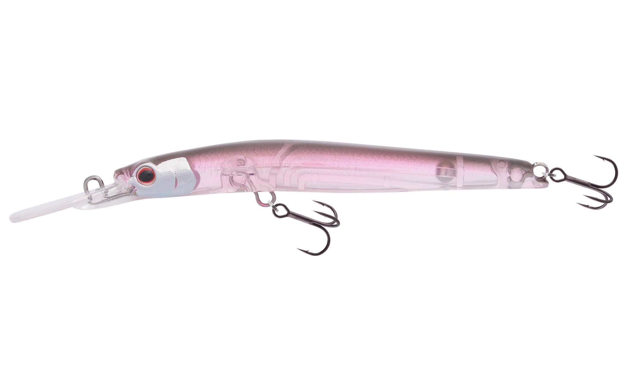 Brown Minnow