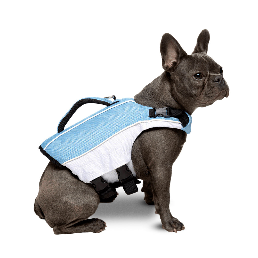 Dog Life Jacket for Swimming & Boating - Safe & Comfortable Dog Floatation Vest with Handle, Sky Blue - Perfect for Water Activities, Pool, Beach & Lakeside Adventures