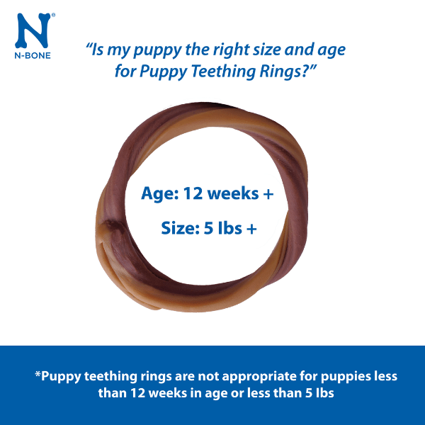 N Bone Grain Free Puppy Teething Rings - Blueberry & BBQ Flavor Dog Chew Toys for Small & Medium Breed Puppies - Soothing Sore Gums During Teething, Training Reward, Dental Health Chews