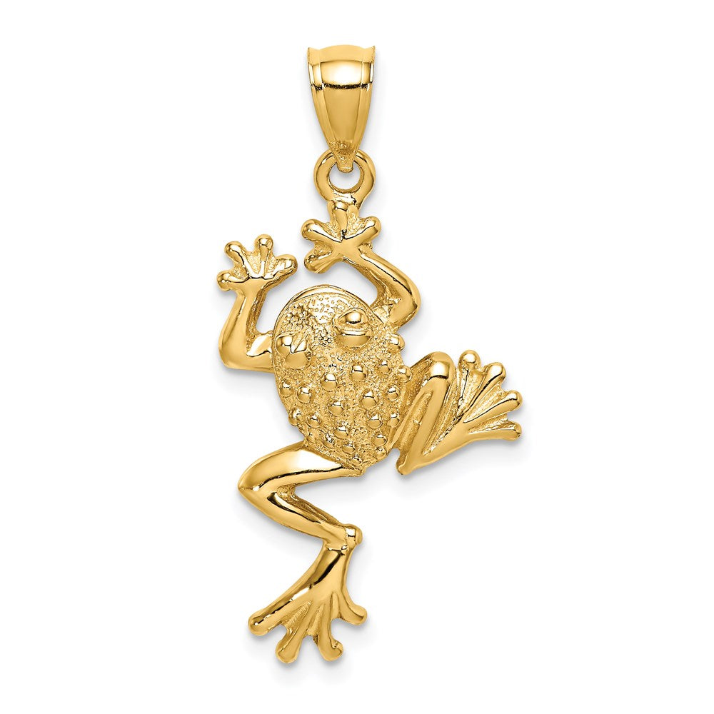 Gold Large Detailed Frog Pendant Necklace - Handcrafted Jewelry for Women, Nature-Inspired Frog Charm for Animal Lovers - Perfect for Casual Wear, Gift Giving & Nature-Themed Events