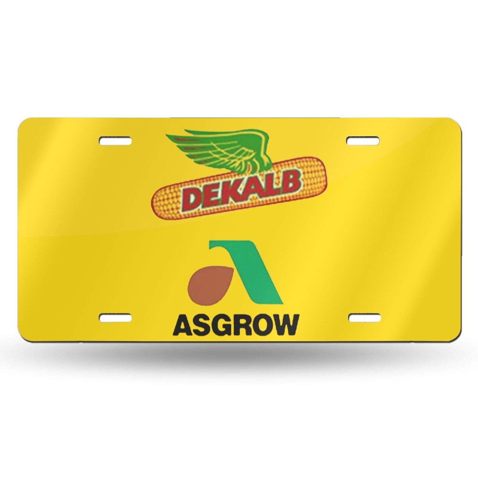 Custom Aluminum License Plate Frame Cover - 6