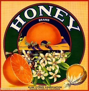 Vintage Honey Bee Orange Citrus Fruit Crate Magnet - Ivanhoe Tulare County Art Print - Perfect for Fridge, Office Decor & Gift Ideas