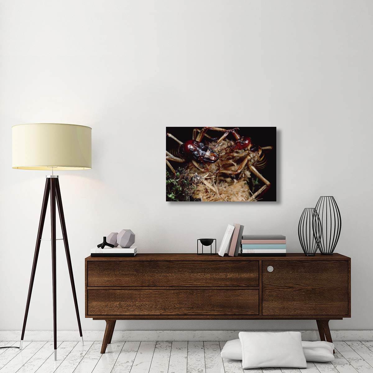 Global Gallery Tree Weta Male & Female Canvas Art - 36x24 Inch New Zealand Wildlife Wall Decor - Perfect for Living Room, Bedroom & Office