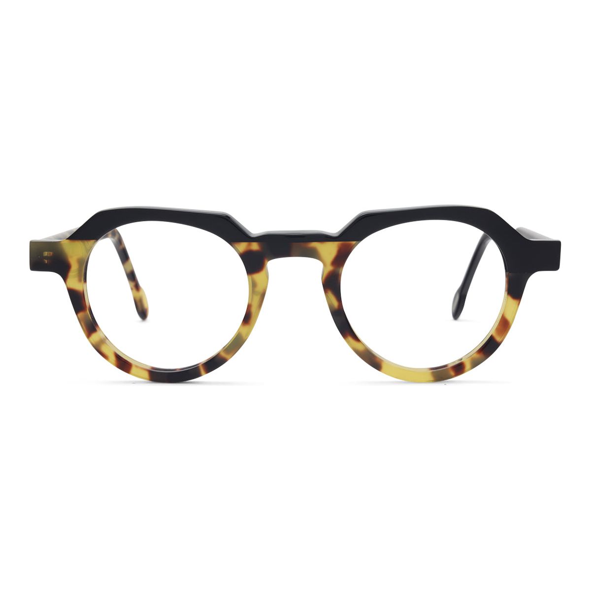 Blue / Black Tortoise