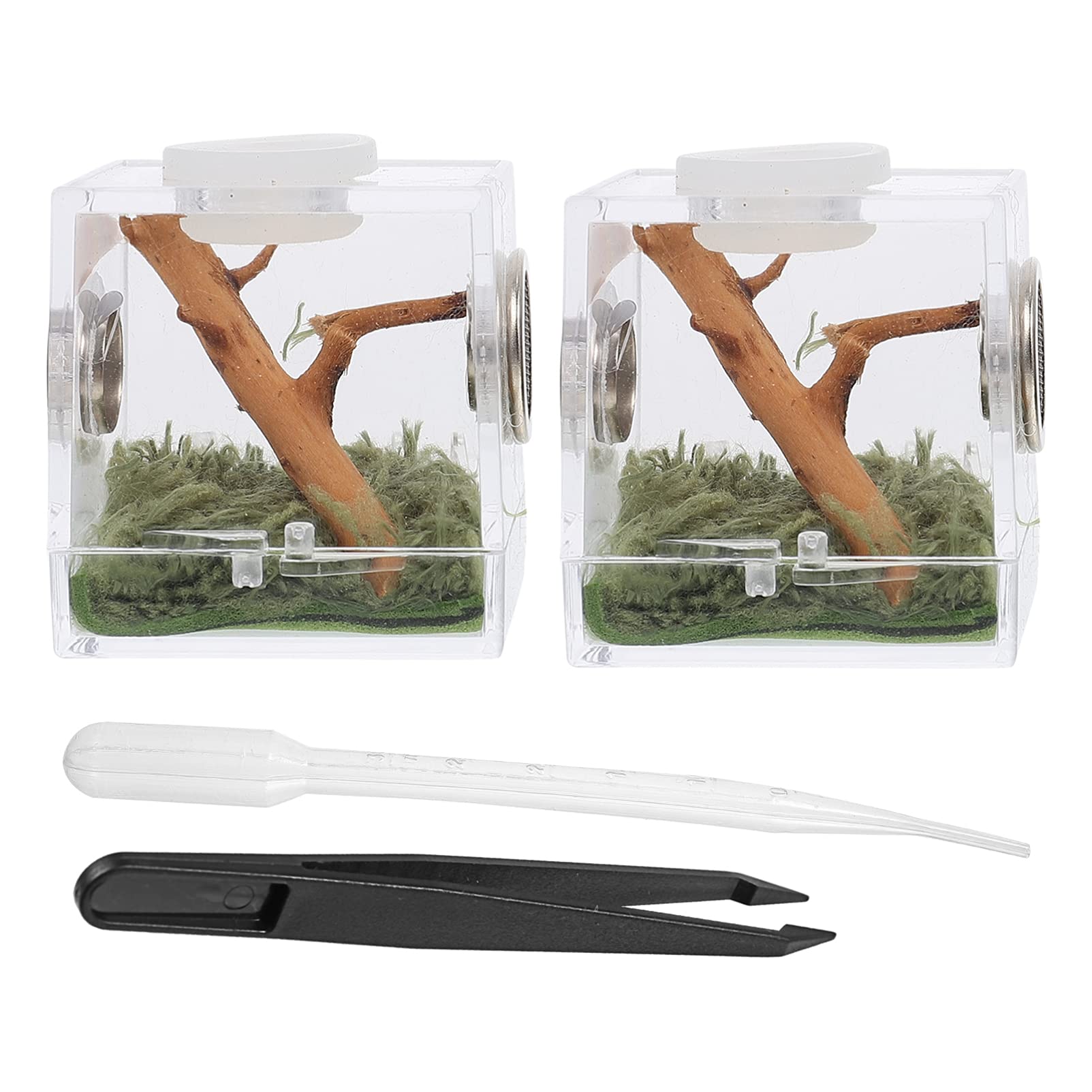 POPETPOP Spider Habitat Box - Transparent Tarantula Enclosure, Snail & Insect Cage, Mini Critter Keeper (3.5x3.5x4cm) - Perfect for Pet Spiders, Bugs & Small Reptiles - Great for Home, Classroom or Science Projects