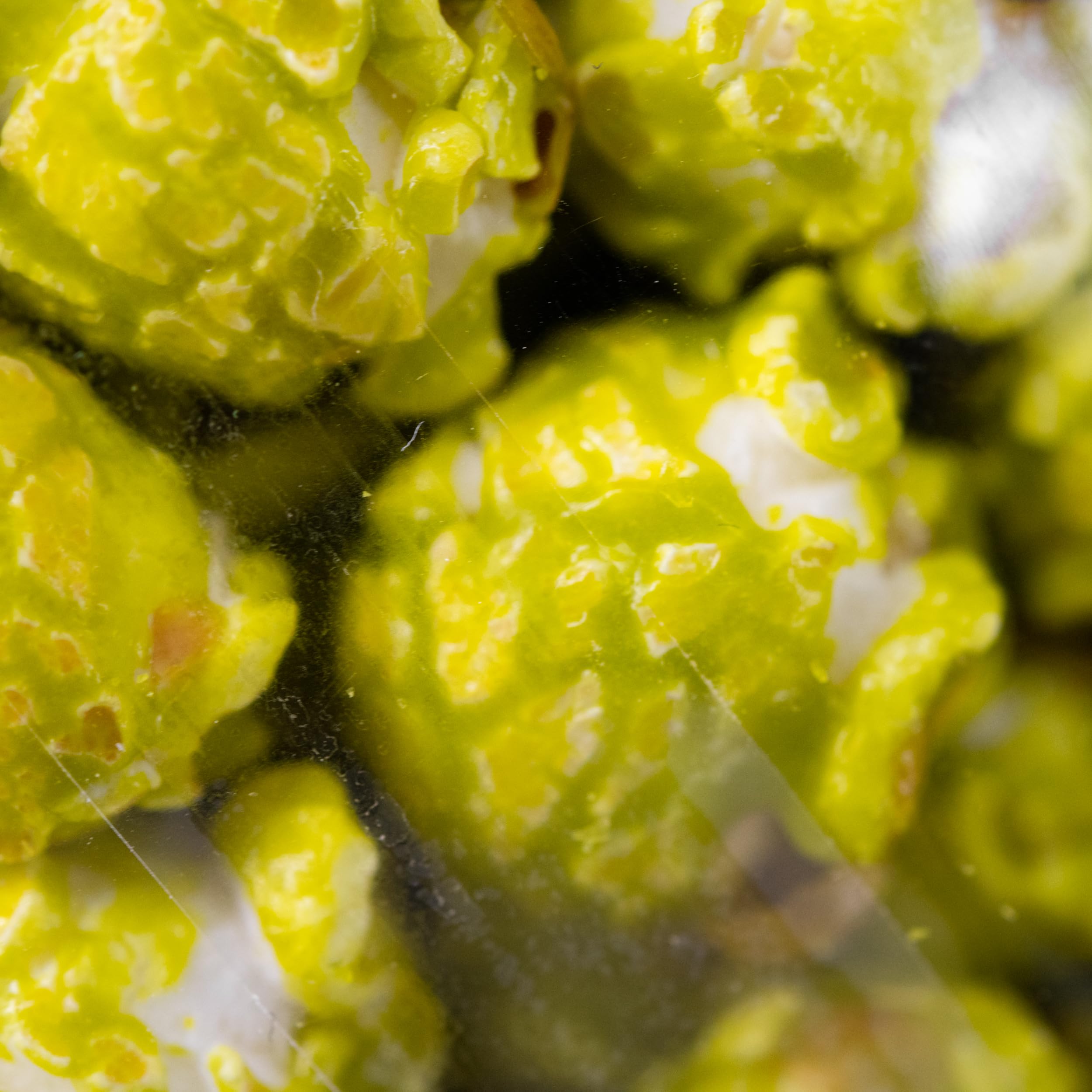 **Dew Soda Popcorn - Gourmet Popcorn Snacks, 6 Pack | Fresh, Crunchy & Delicious Party Snack | Made in USA | Perfect for Movie Nights, Game Days & Office Treats**