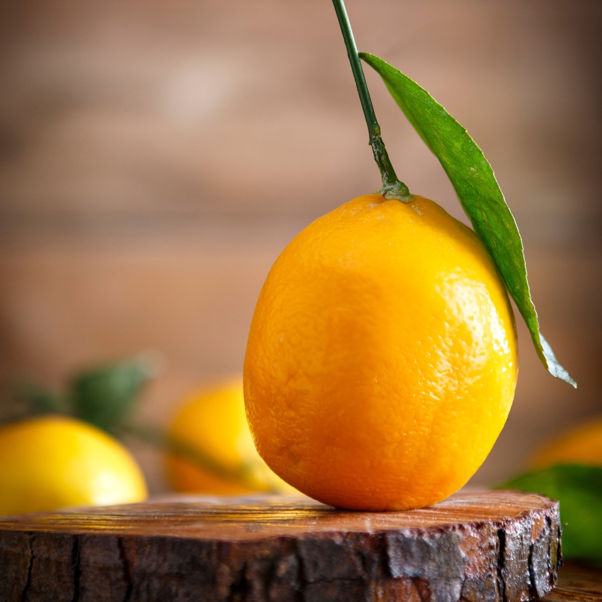 Pure Meyer Lemon Essential Oil - 100% Natural Aromatherapy Oil for Diffusers, Candles & Soap Making - Uplifting Citrus Scent for Home Spa & Relaxation