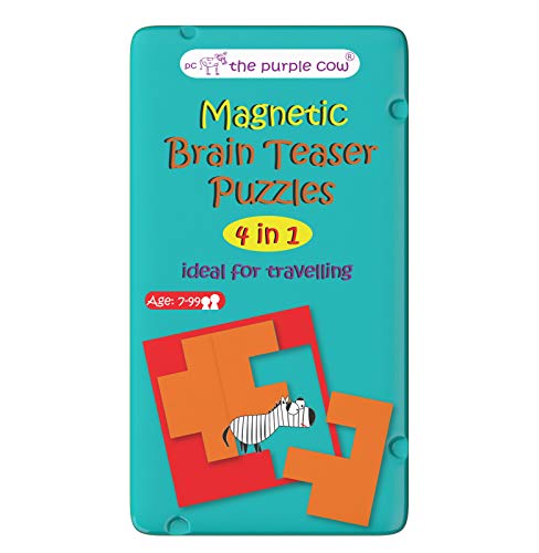 Brain Teaser Puzzles