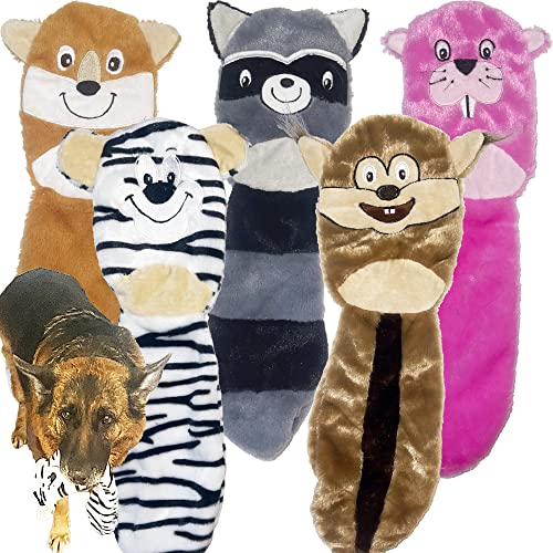 5 Pack - Color 3 - Crinkle Paper and Squeaker