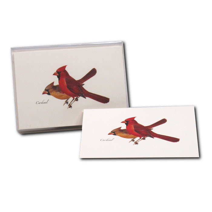 Premium Cardinal Boxed Notecards - Elegant Stationery for Greetings, Thank You Notes & Special Occasions | Perfect for Weddings, Anniversaries & Business Correspondence