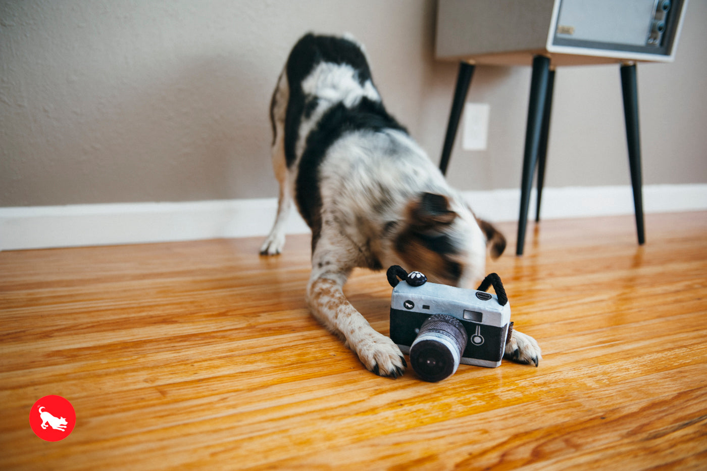 Globetrotter Plush Dog Toy Camera - Durable & Fun Chew Toy for Small & Large Dogs | Perfect for Playtime, Training & Travel