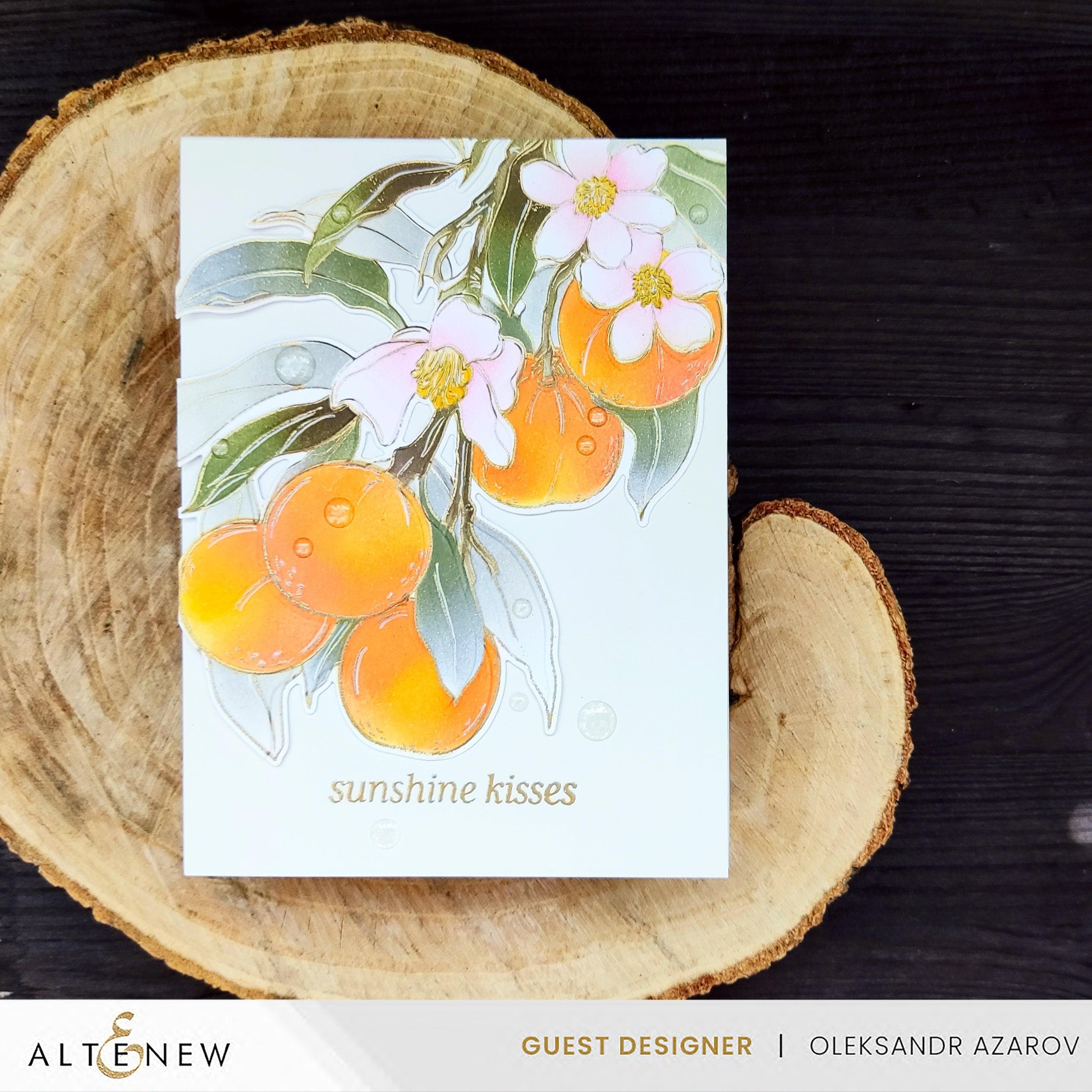 Tangerine Grove & Artists' Watercolor 24 Pan Set Bundle - Premium DIY Craft Kit for Adults & Teens - Perfect for Watercolor Painting, Art Projects & Creative Gifts