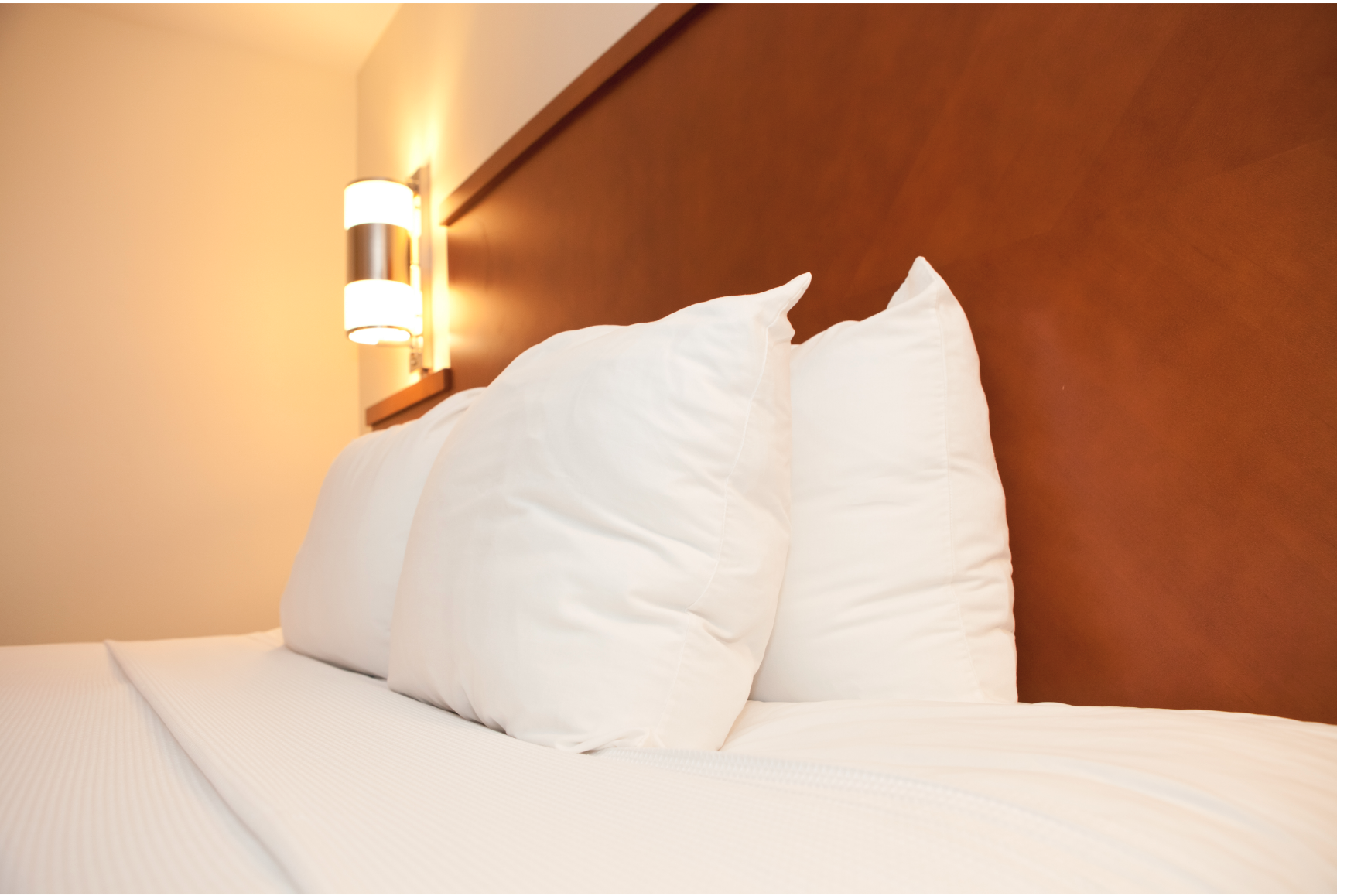 Extra Plump DuPont Polyester Pillow by The Pillow Factory | High Loft Support for Side & Back Sleepers | Premium Bedding for Ultimate Comfort