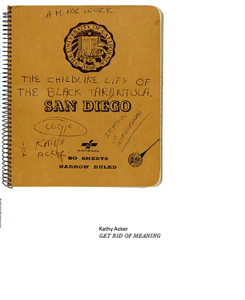 Kathy Acker Book - Get Rid of Meaning for Literary Studies