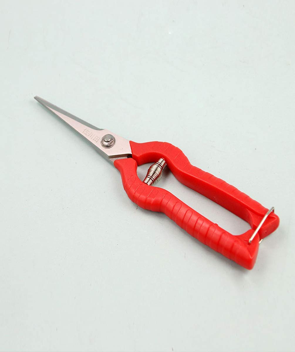 Professional Stainless Steel Gardening Pruning Shears - Lightweight Hand Pruner for Smooth Clean Cuts on Flowers, Plants & Small Branches | Ideal for Home Gardeners, Florists & Outdoor Enthusiasts