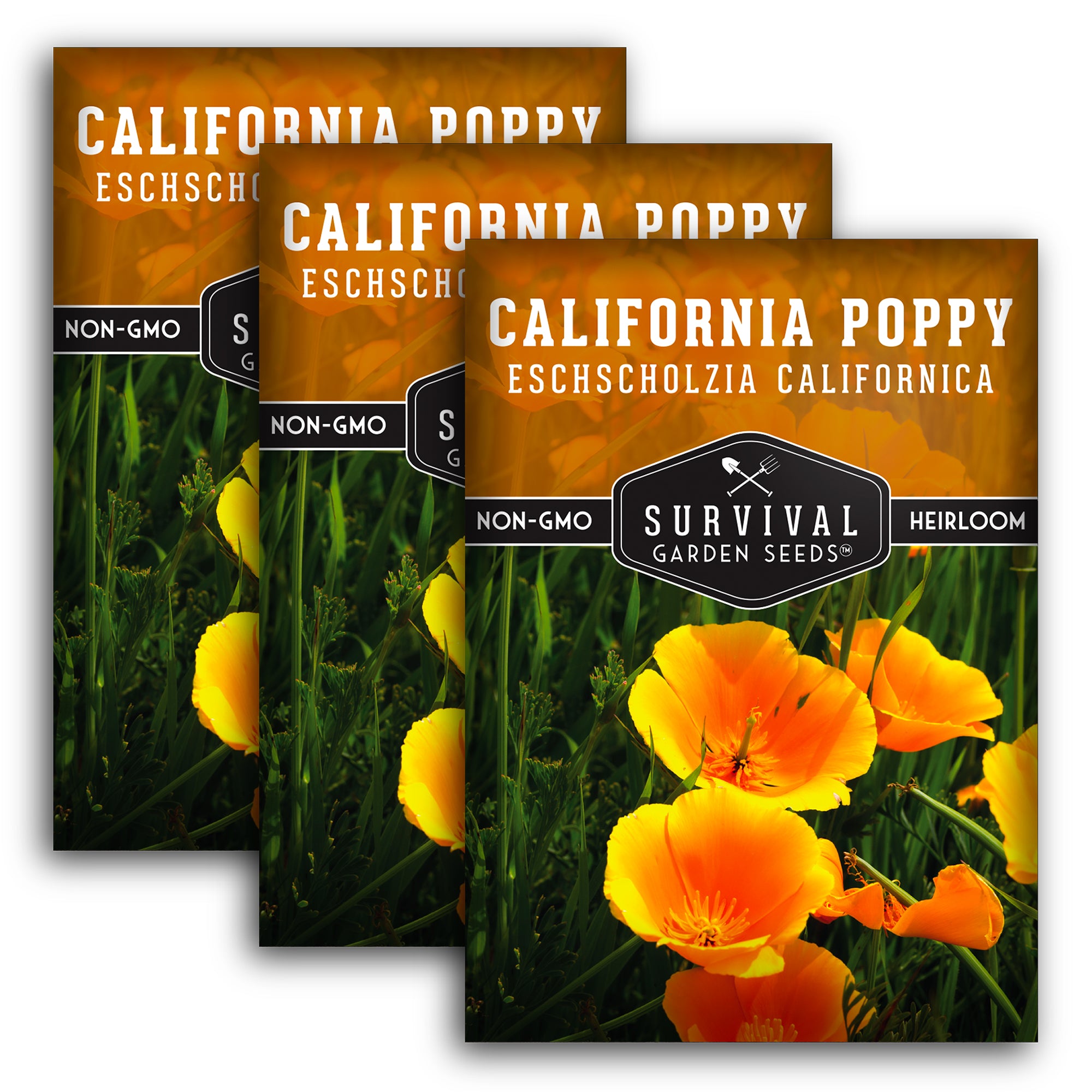 California Poppy Seeds - Organic, Non-GMO, Heirloom Variety for Planting & Gardening - Perfect for Wildflower Gardens, Landscaping & Pollinator-Friendly Yards