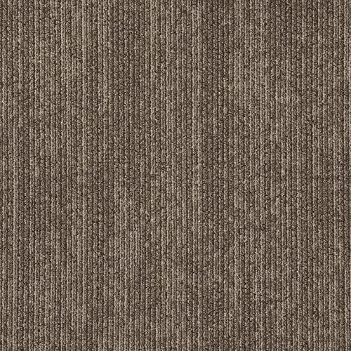 Elm