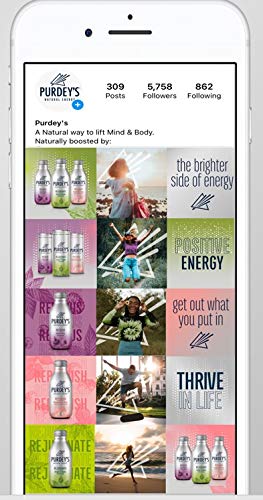 Purdey’s Rejuvenate Natural Energy Drink - 12 Pack of 330ml Bottles | Boost Energy Naturally | Perfect for Workouts, Travel & Daily Refreshment