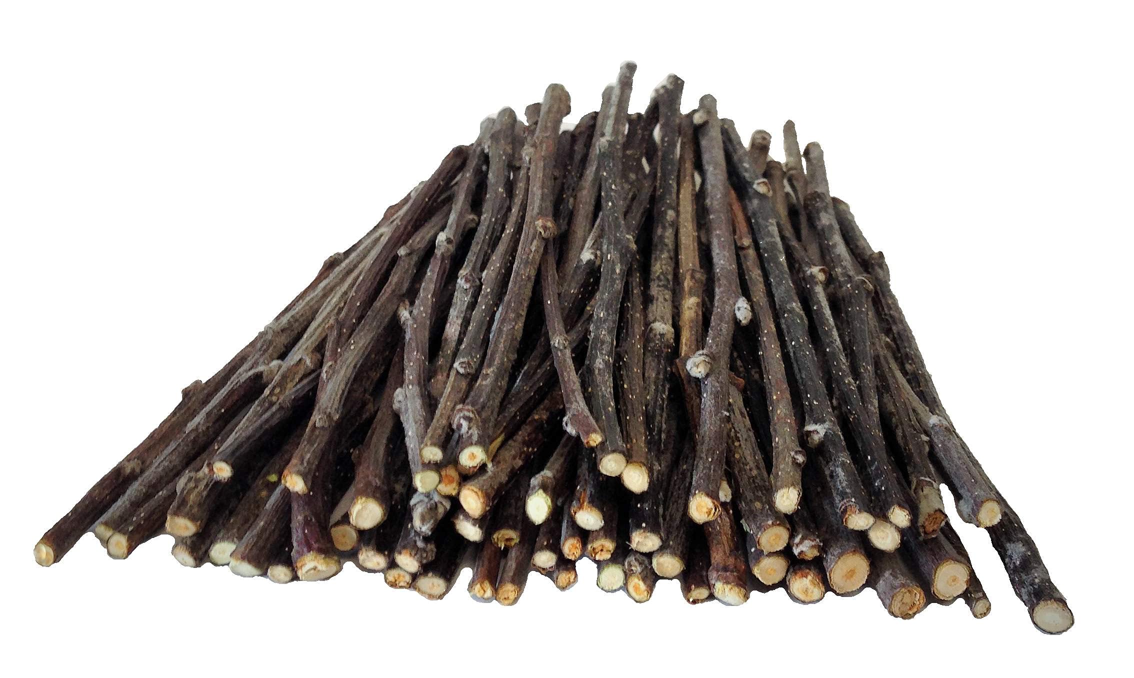 60 Pack Apple Flavored Skinny CHEW Twigs for Small Pets - Hamsters, Rabbits, Guinea Pigs - Natural Wood Chew Toys for Dental Health & Stress Relief