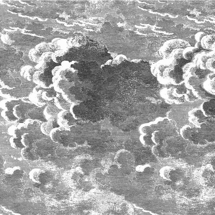 Cole & Son Nuvolette Black and White Wallpaper - Premium Peel and Stick Wallpaper for Living Room, Bedroom, or Office Decor