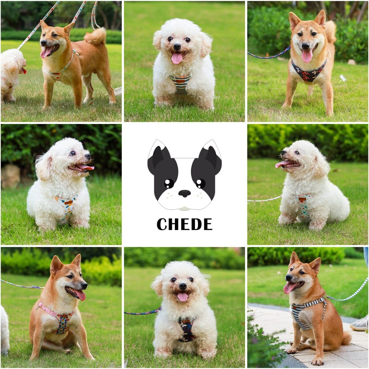 CHEDE No Pull Floral Pattern Dog Harness - Lightweight Adjustable Soft Pet Vest with Leash Set for Small & Medium Dogs - Perfect for Walking, Training & Outdoor Adventures