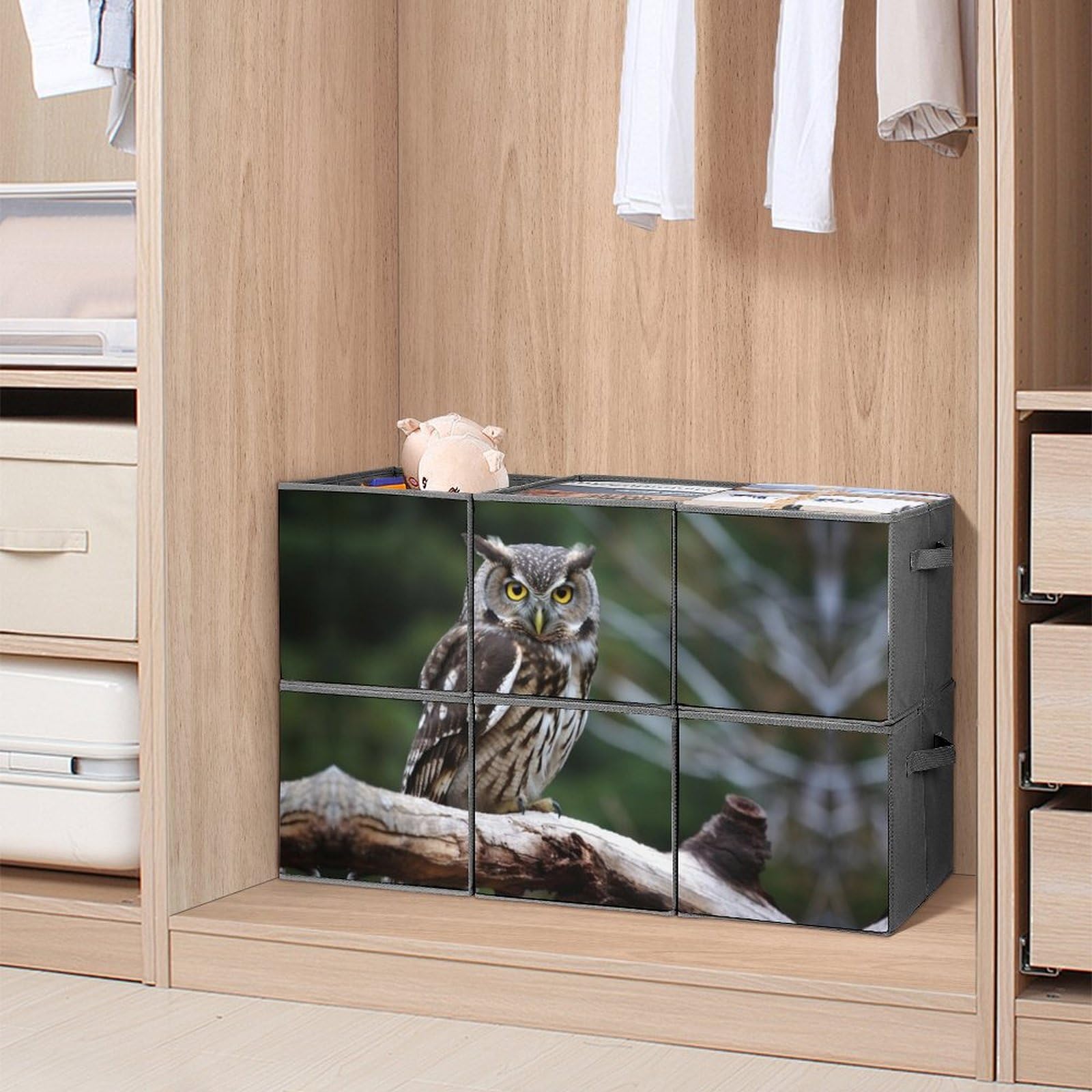 Wild Owl Birds Storage Bins 6-Piece Set - Collapsible Fabric Storage Baskets with Handles for Home Organization, Large Closet Organizer & Clothing Storage Boxes | Perfect for Bedroom, Nursery, Laundry Room & Office