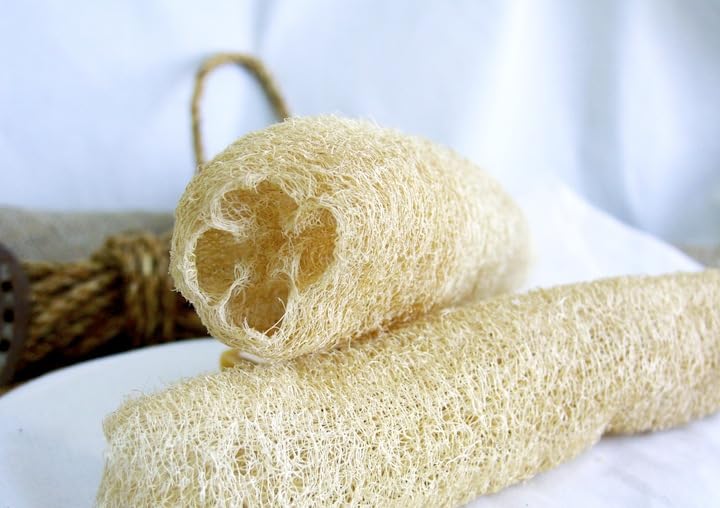 Organic Natural Loofah Sponge for Exfoliating Skin – Gentle Body Scrubber for Men & Women – Removes Dead Skin Cells – Pack of 2 – Perfect for Shower, Bath & Spa Day Self-Care Routine