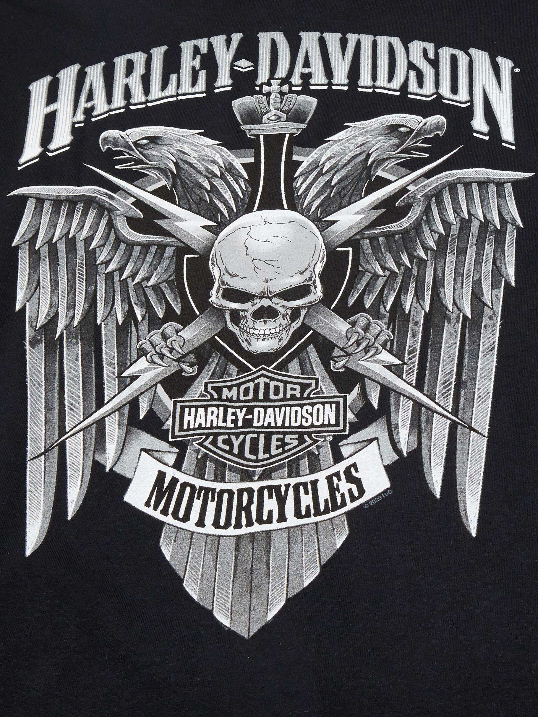Harley-Davidson Men's Skull Lightning Graphic Long Sleeve T-Shirt - Black Cotton Crewneck Shirt for Motorcycle Riders & Biker Enthusiasts - Perfect for Riding, Casual Wear & Gifts
