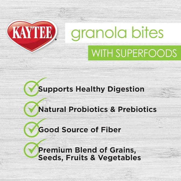 Kaytee Granola Bites with Superfoods Spinach & Kale - Healthy Small Animal Treats for Hamsters, Guinea Pigs & Rabbits - Perfect for Training Rewards & Daily Snacking