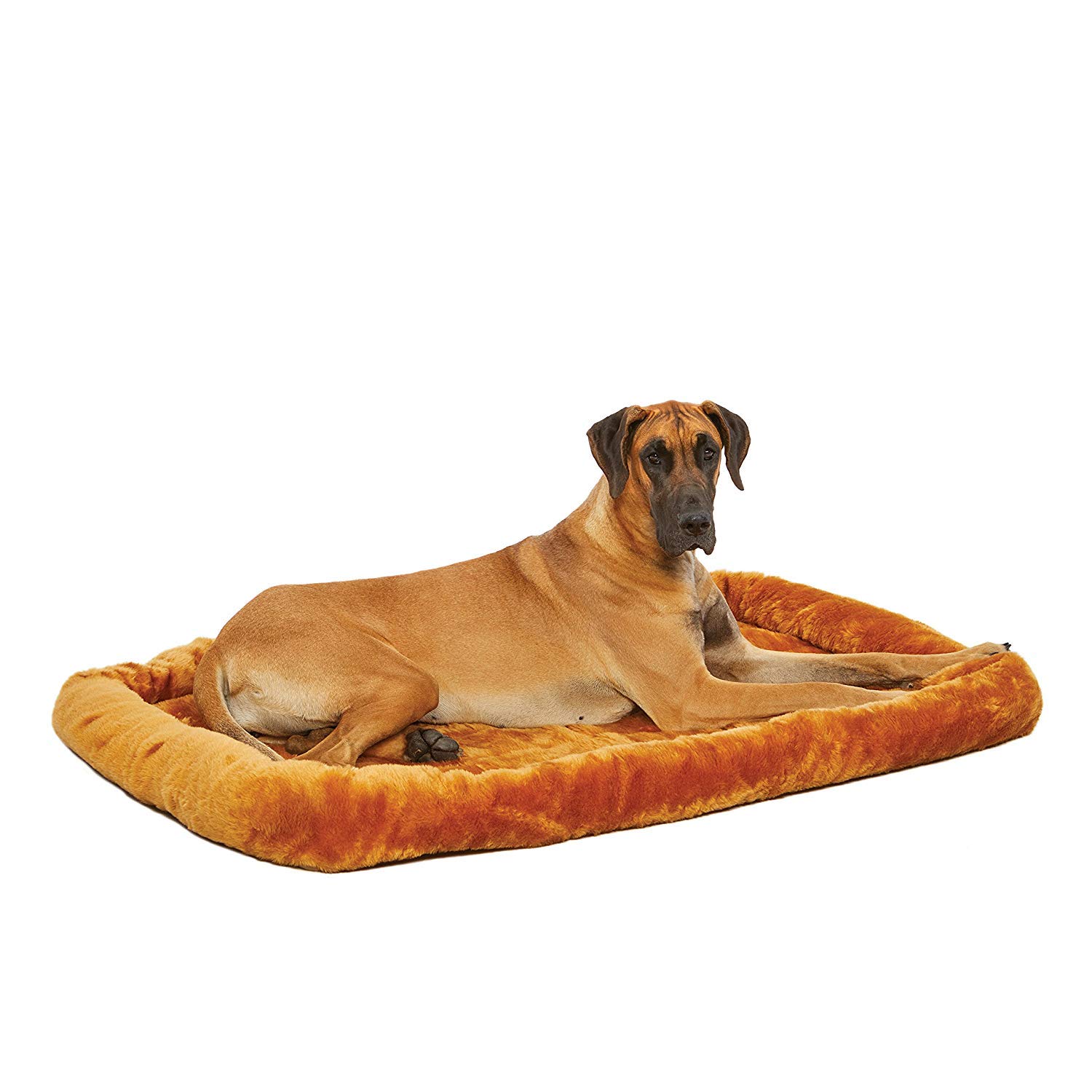 MidWest Homes for Pets 54-Inch Large Bolster Dog Bed for Giant Breeds - Orthopedic Support for Great Dane, Mastiff & Cats - Fits 54L Crate - Cinnamon Brown - Perfect for Living Room, Bedroom & Crate Comfort