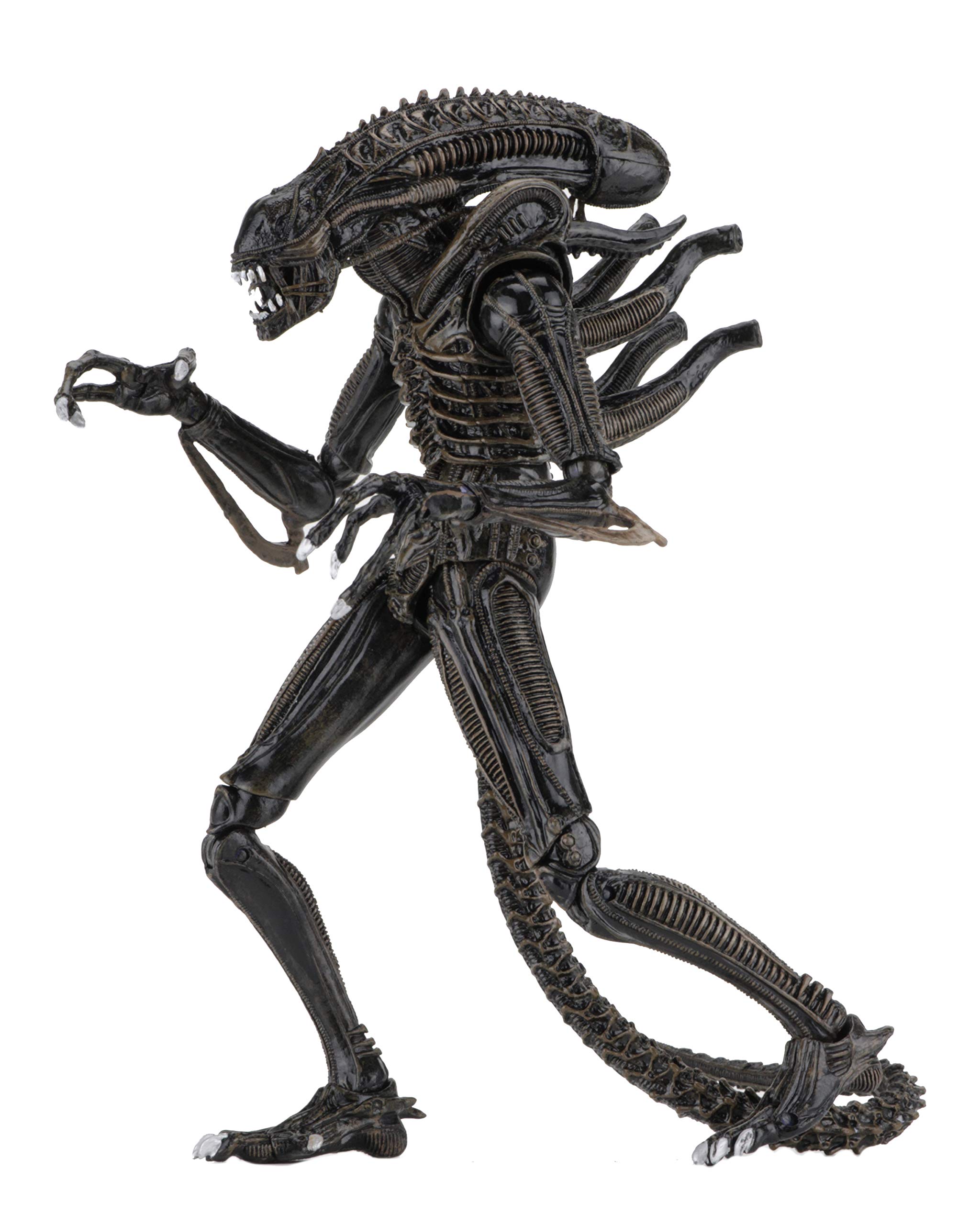 NECA Alien 7