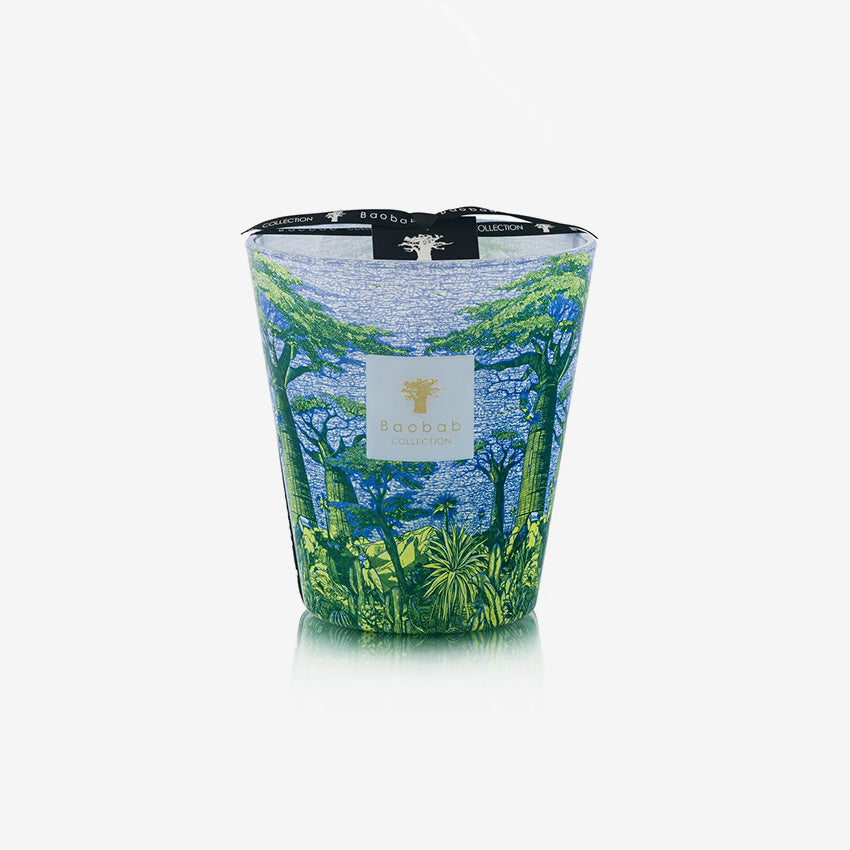 Baobab Collection Sacred Trees Yarani Scented Candle - Luxury Home Fragrance for Relaxation & Meditation | Perfect for Spa, Bedroom & Yoga Studio Decor