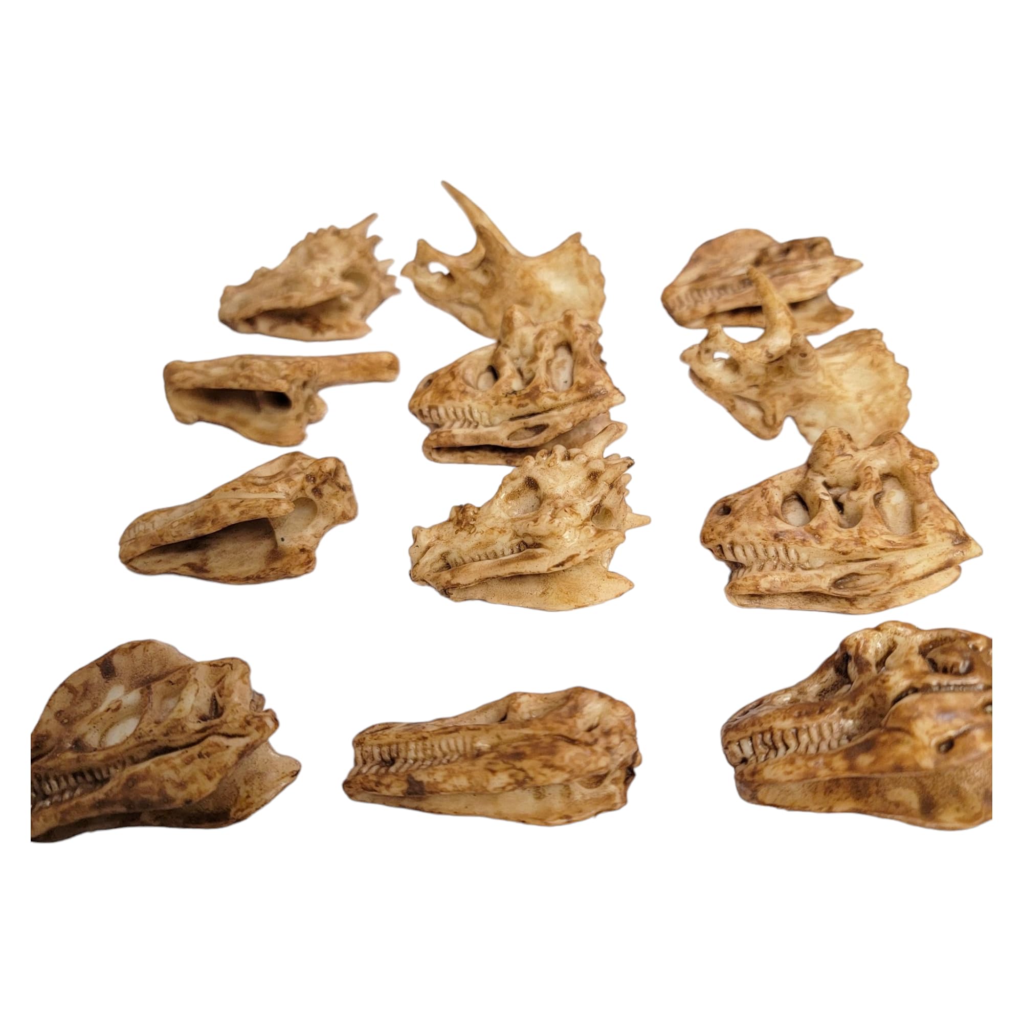 Dinosaur Fossil Pencil Toppers - 12 Pack (2 Inch) Rubber Dino Pencil Caps for Kids | Ancient Aged Look Classroom Supplies, Party Favors & Student Incentives | Perfect for Back to School, Birthday Parties & Educational Rewards
