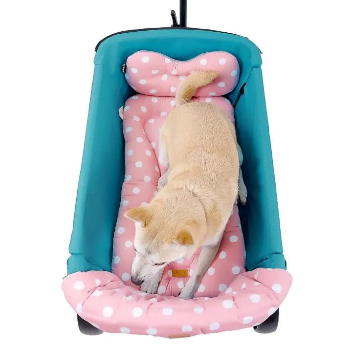 Comfort+ Pet Stroller Accessory Kit - Lightweight Add-On for Small Dogs & Cats - Perfect for Outdoor Walks, Vet Visits & Shopping Trips