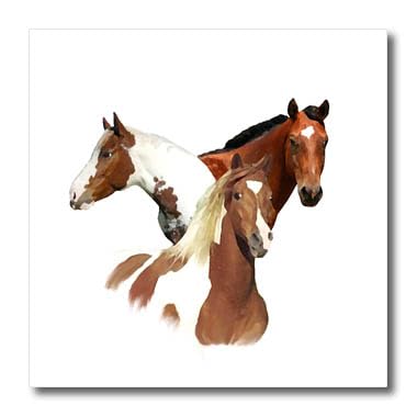 3D Rose HT-4584-3 Horses Iron-On Heat Transfer for White Fabric, 10x10 Inch - Perfect for T-Shirts, Tote Bags & DIY Craft Projects