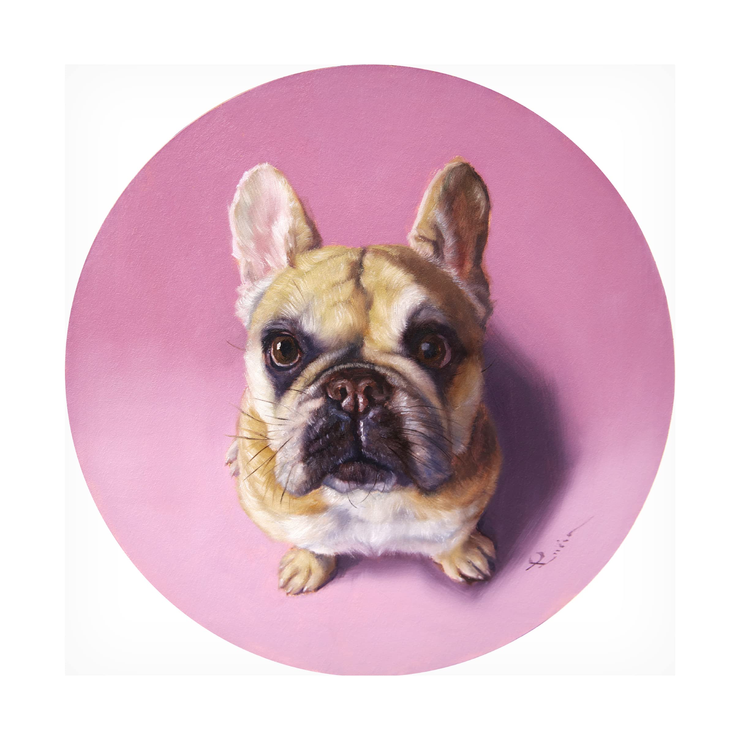 Lucia Heffernan 'Charlotte' Canvas Art Print - Whimsical Animal Painting Wall Decor for Living Room, Bedroom & Office | Trademark Fine Art Collection