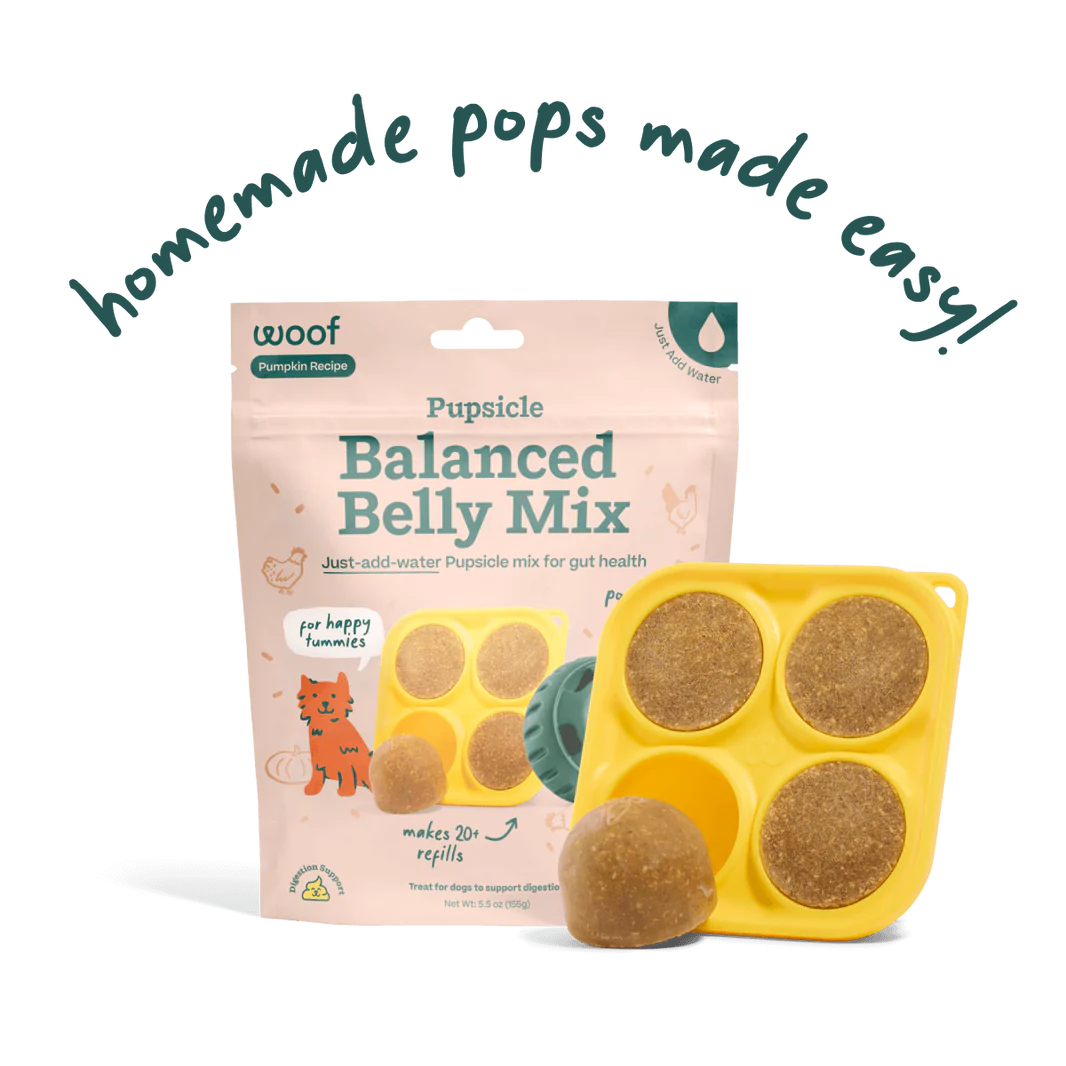 Healthy Homemade Pupsicle Pops for Happy Tummies - Natural Digestive Aid for Dogs - Perfect for Summer Treats & Digestive Support
