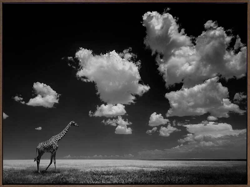 Long Walk Home Canvas Art Print - Handmade Wall Decor for Living Room, Bedroom & Office - Perfect for Home & Office Decor