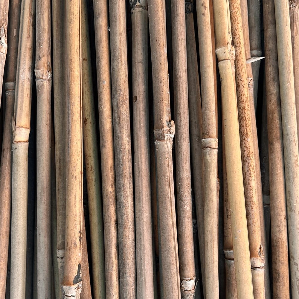 Bamboo Stakes for Gardening - Natural Plant Support Stakes for Tomatoes, Vines, Flowers - Eco-Friendly Garden Stakes for Outdoor & Indoor Use
