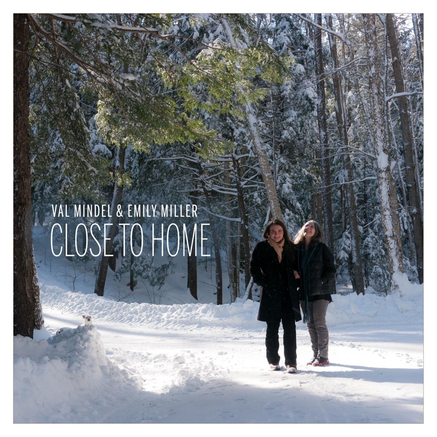 Close to Home - Cozy and Comfortable Home Decor for Living Room, Bedroom & Office | Perfect for Relaxation, Work & Personal Space