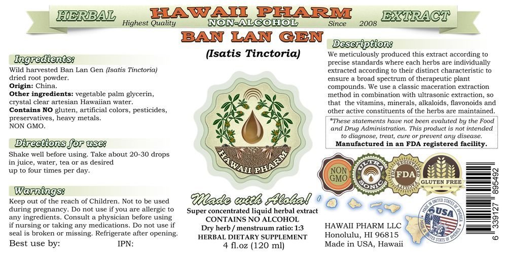 Organic Ban Lan Gen (Isatis Root) Alcohol-Free Liquid Extract - Natural Herbal Supplement by Hawaii Pharm - 2x32 oz Unfiltered Glycerite - Immune Support, Cold & Flu Relief - Perfect for Herbal Teas, Tinctures & Wellness Routines
