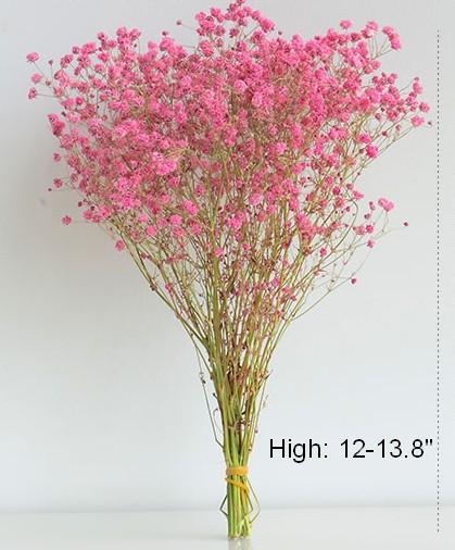 Premium Dried Baby's Breath Bouquet - Natural Gypsophila Flowers for Wedding Decor, Mason Jar Fillers, DIY Crafts & Home Decoration | Perfect for Rustic Weddings, Centerpieces, and Floral Arrangements