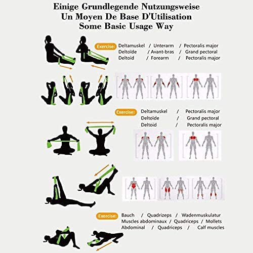 Premium Latex Resistance Bands for Full Body Workout - Stretch Exercise Bands for Home Gym, Yoga, Pilates & Physical Therapy - Ideal for Strength Training, Muscle Toning & Rehabilitation