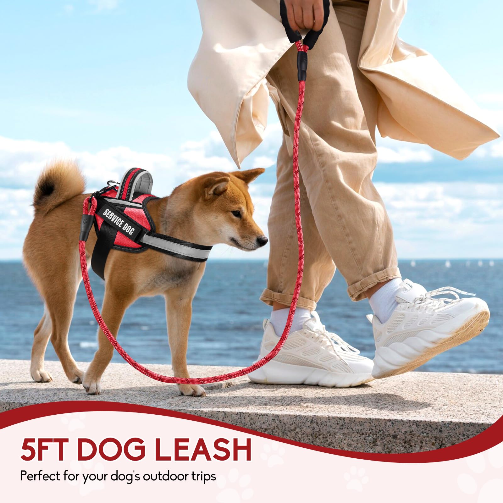 Service Dog Vest Harness and Leash Set - Adjustable Training Harness with 10 Patches, Reflective Leash & Soft Padded Handle for Small to XL Dogs (Red, XS) - Perfect for Therapy, Assistance & Outdoor Activities