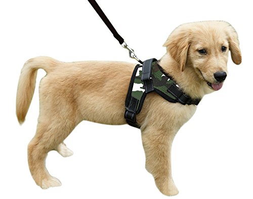 **Heavy Duty Adjustable Reflective No-Pull Dog Harness & Leash Set - Padded Chest Vest with Handle for Small, Medium & Large Dogs - Perfect for Training, Walking & Outdoor Adventures**
